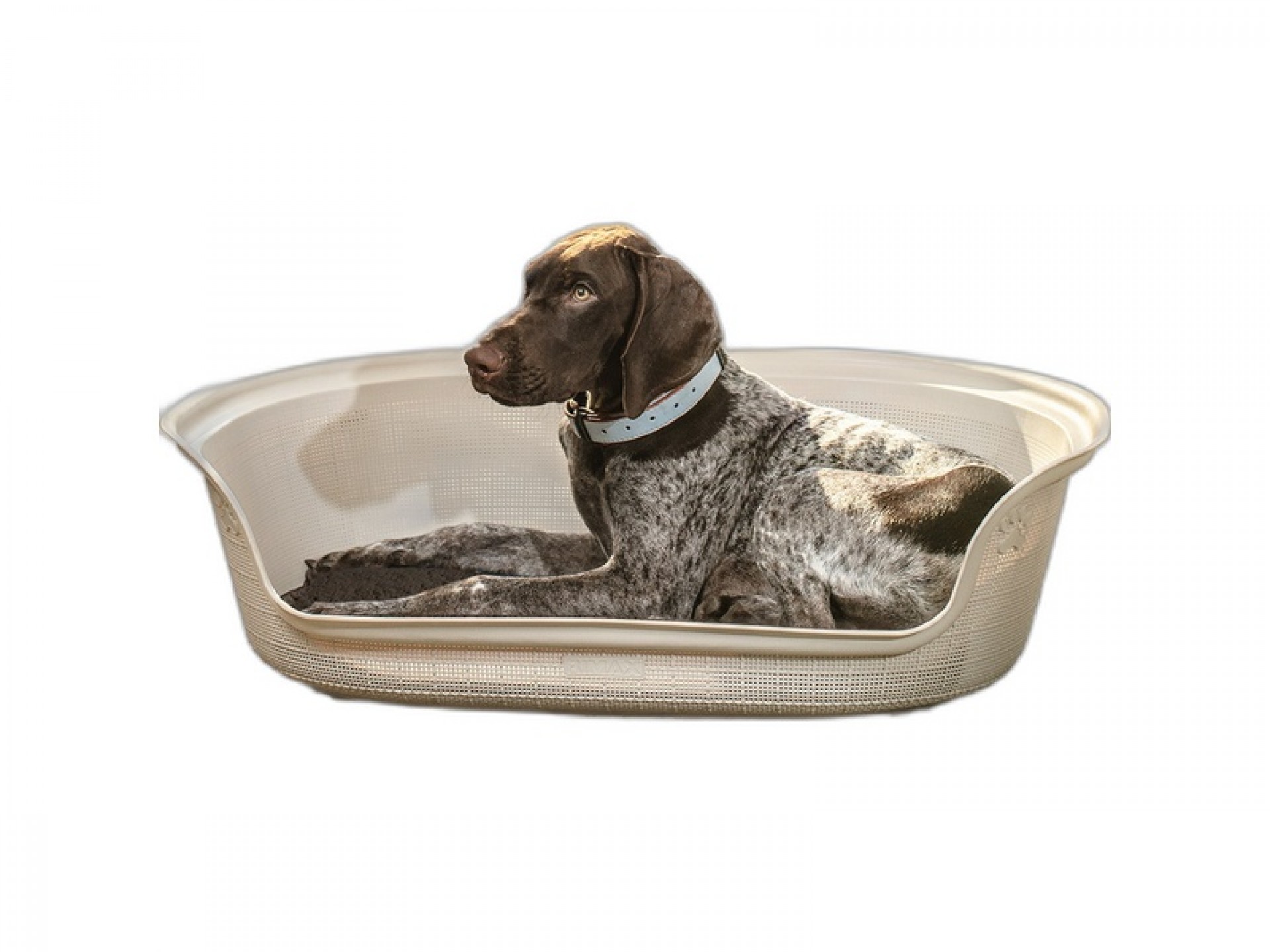 Cama P/Cão Oval Taupe