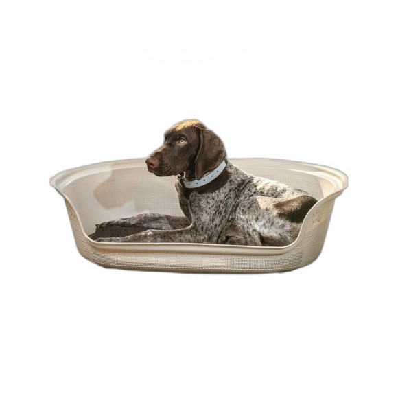 CAMA P/CO OVAL