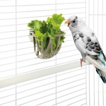 Suporte P/Verduras Pssaros IMAC