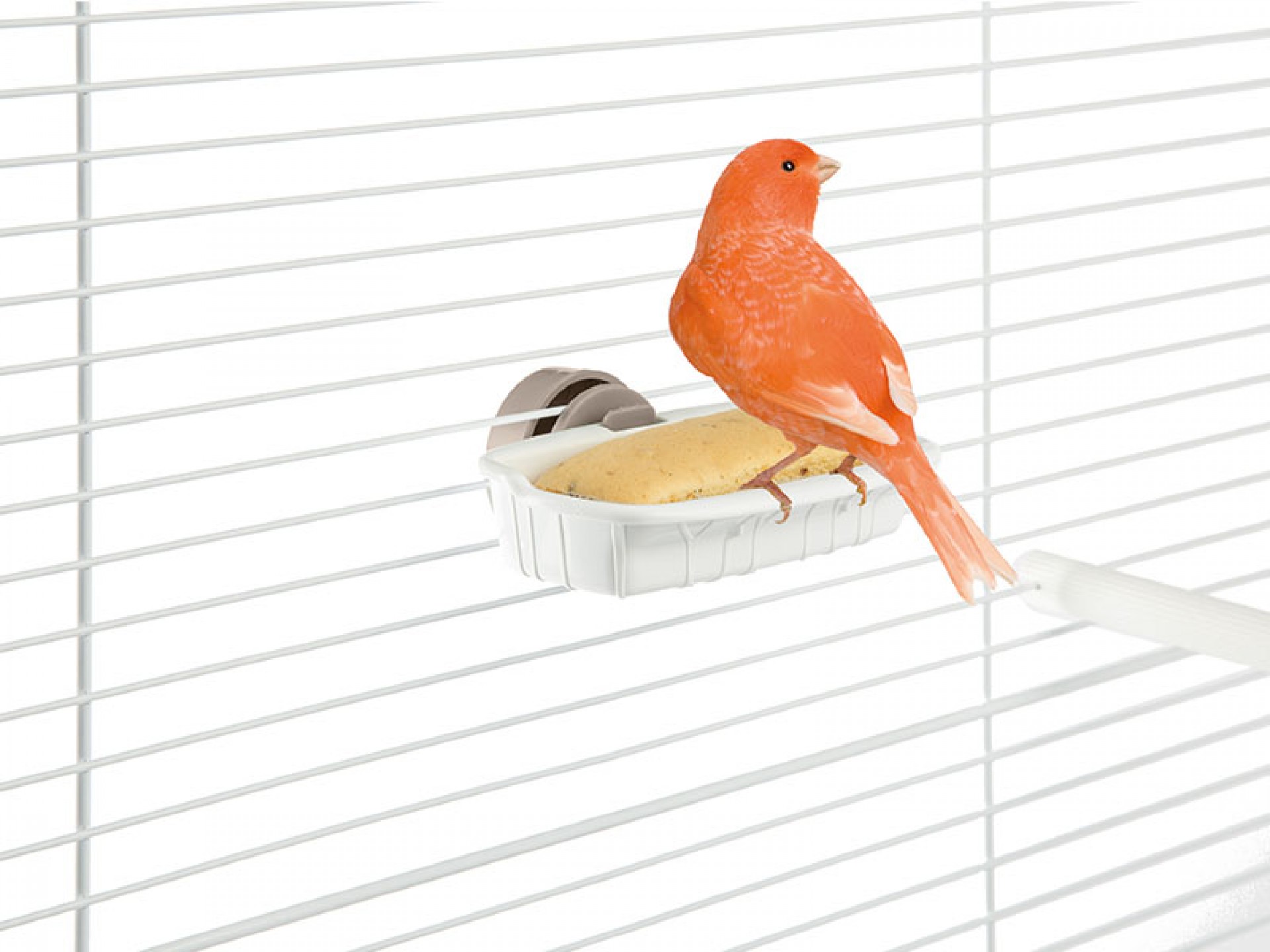 Suporte P/Biscoitos Pássaros IMAC