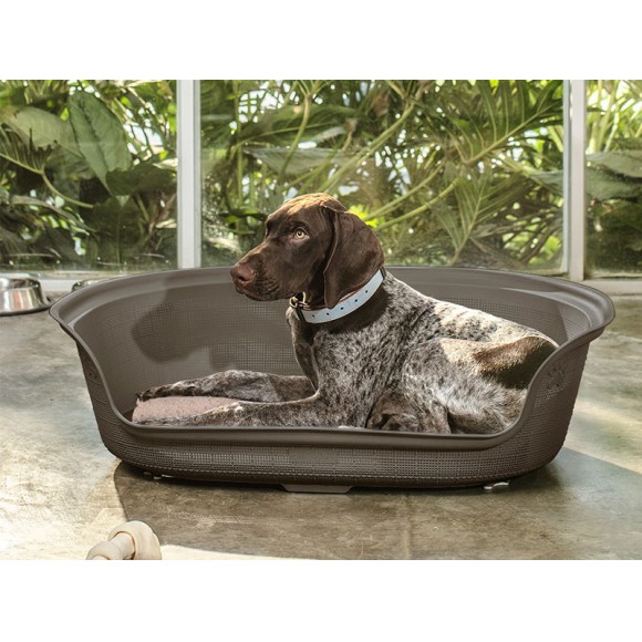 CAMA P/CO OVAL