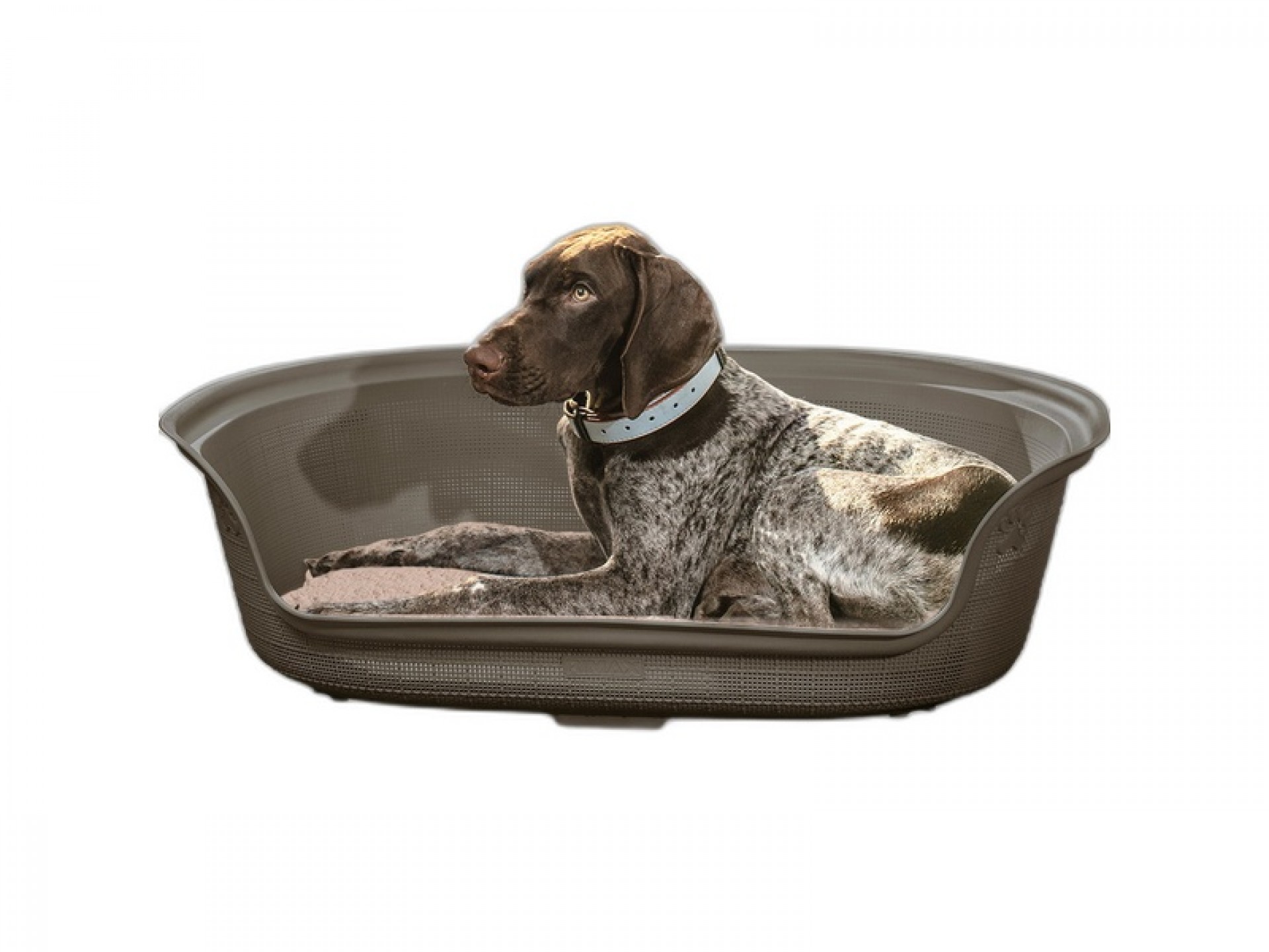 Cama P/Cão Oval Moca