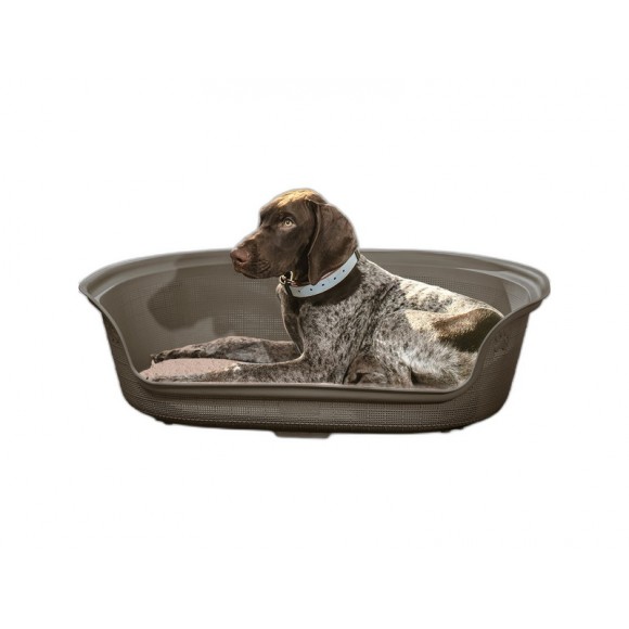 CAMA P/CO OVAL