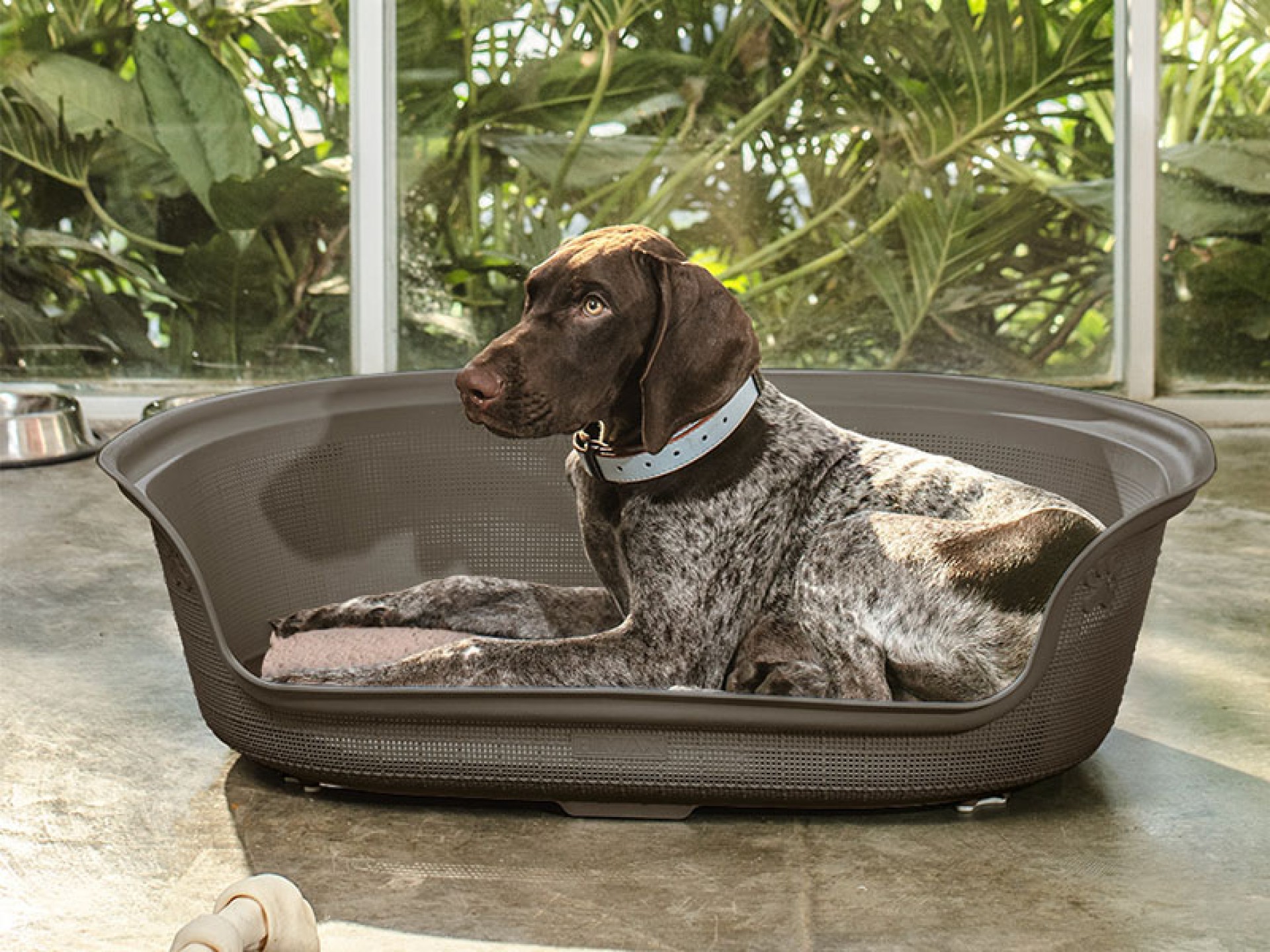 Cama P/Cão Oval Moca