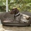 CAMA P/CO OVAL
