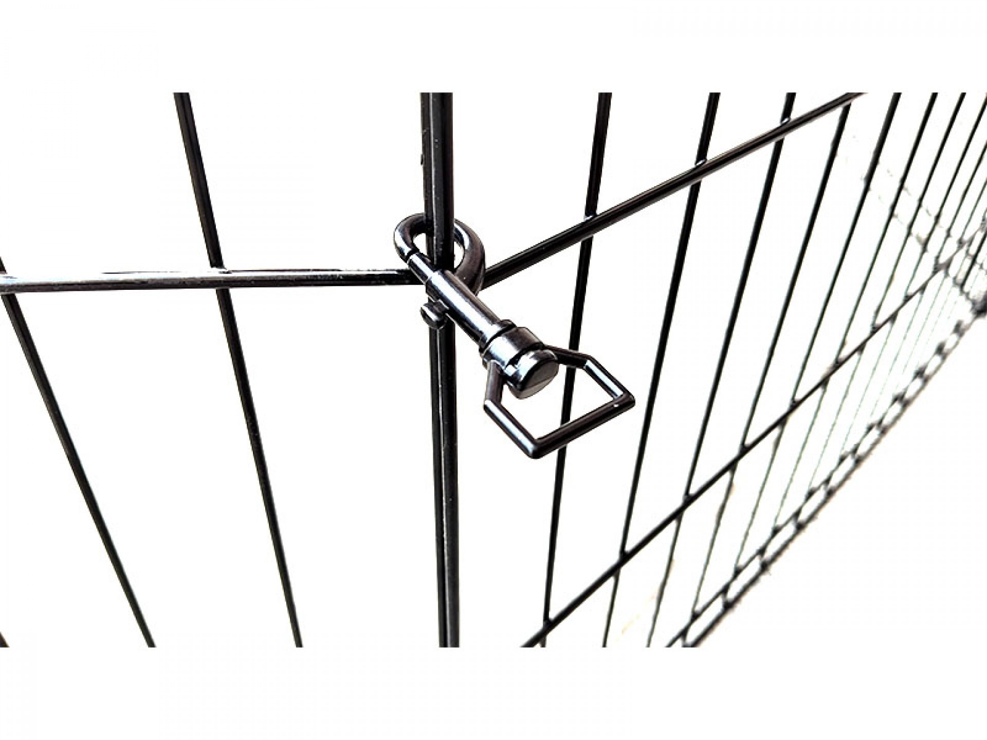 PARQUE ANIMAIS DE COMPANHIA