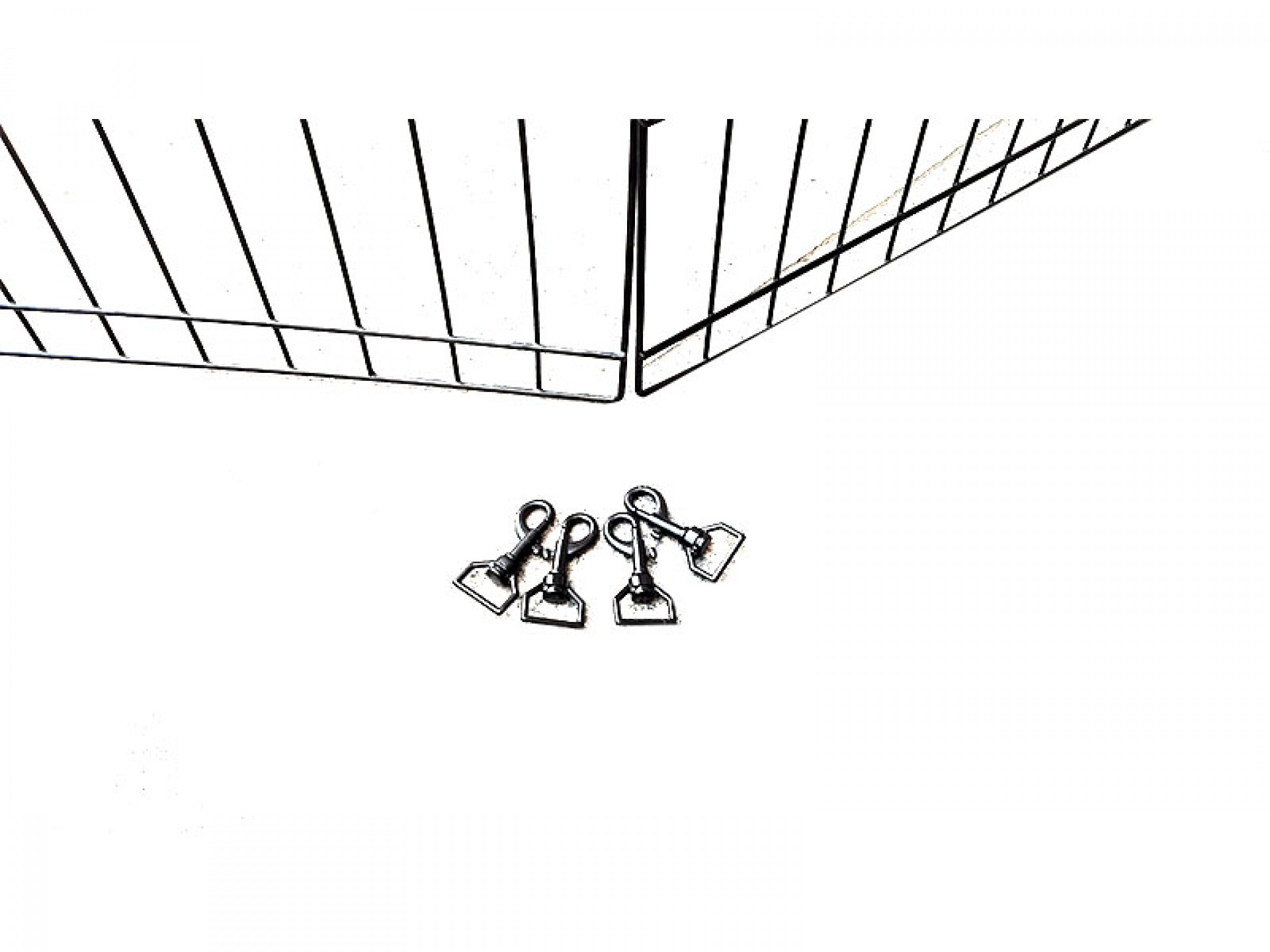 PARQUE ANIMAIS DE COMPANHIA