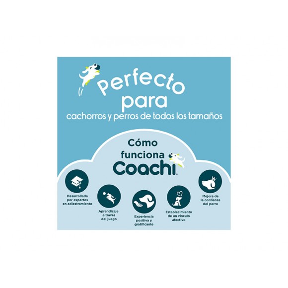 APITO DE TREINO PARA CO