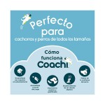 Apito De Treino Para Co COACHI