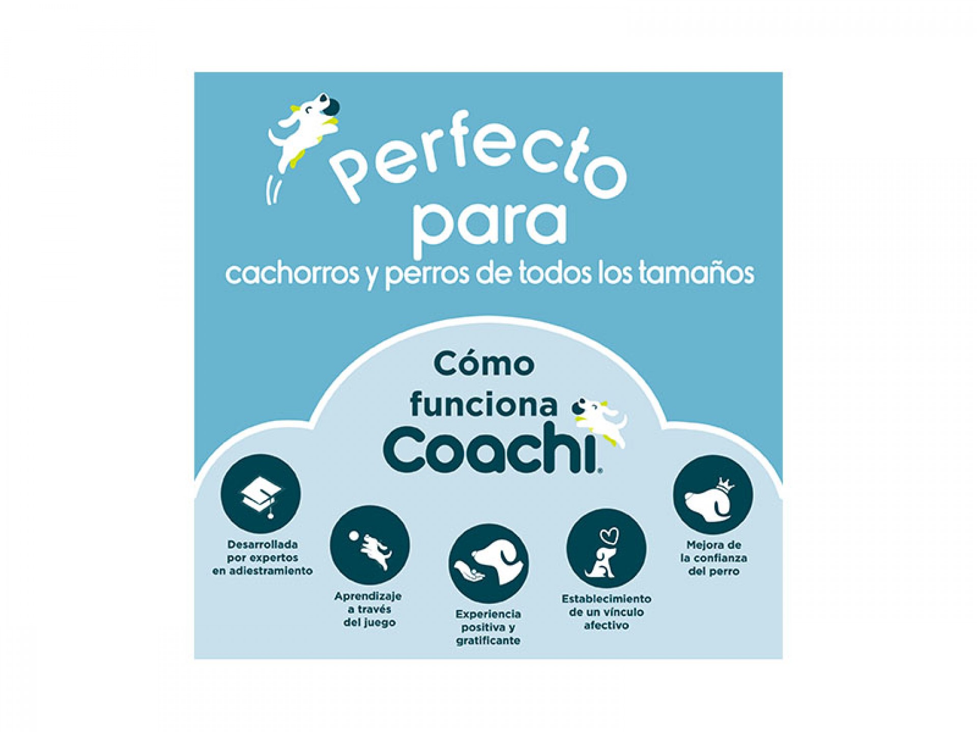 Apito De Treino Para Cão COACHI