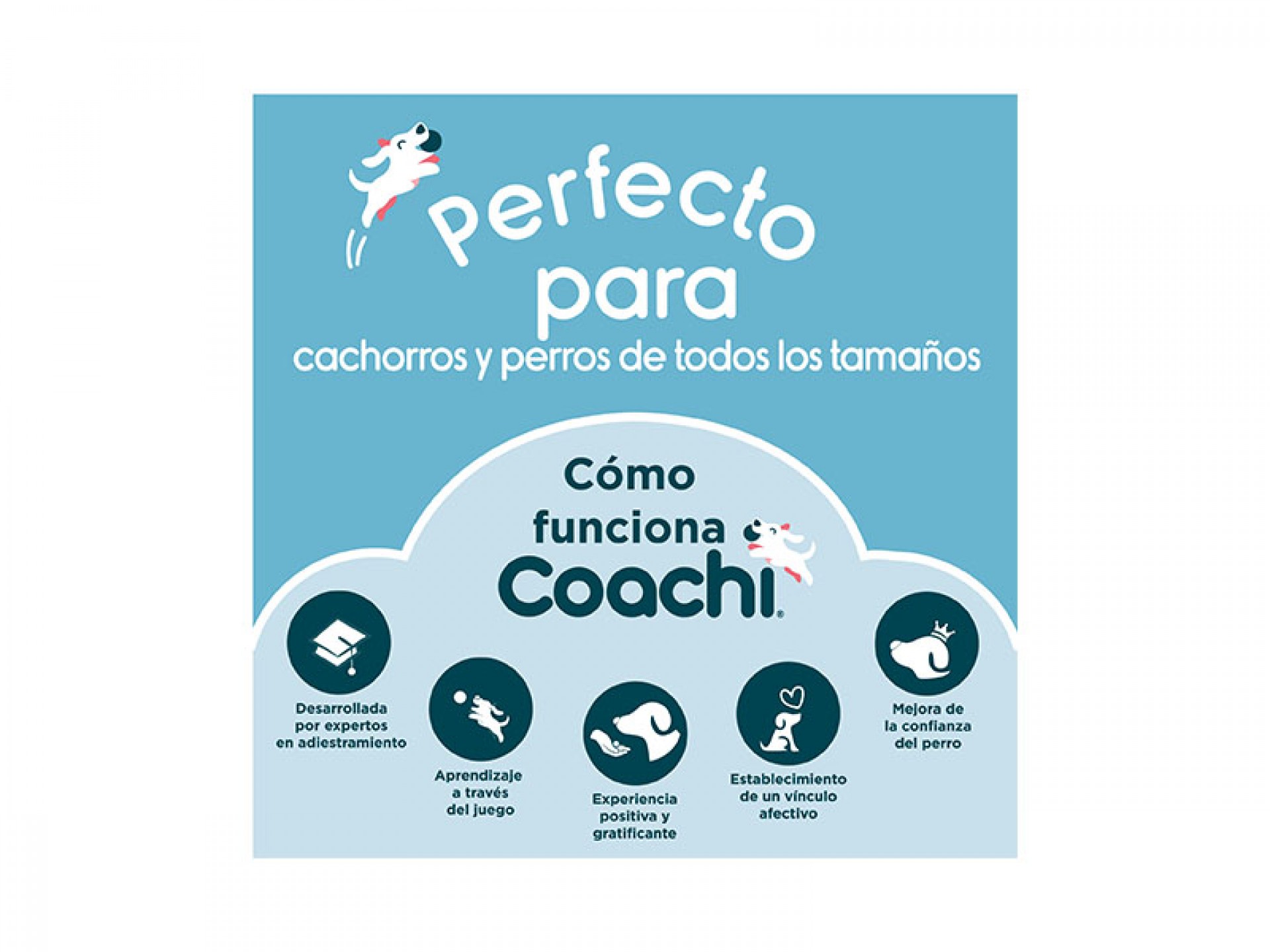 Apito E Clicker De Treino Para Cão COACHI