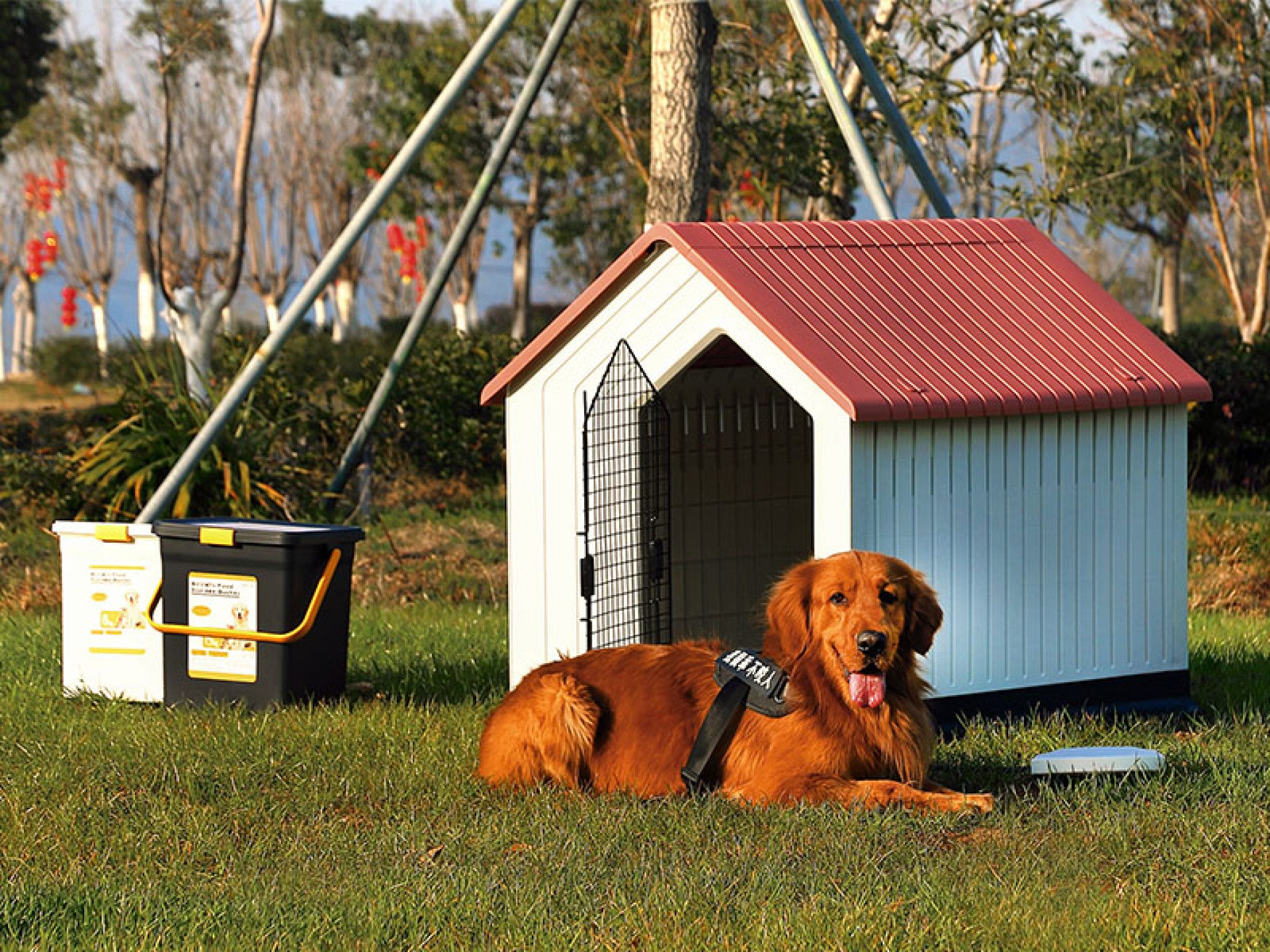 Casota Plástica Com Porta Vermelha 62X62X61 CM