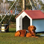 Casota Plástica Com Porta Vermelha 62X62X61 CM Casota Plástica Com Porta Vermelha 62X62X61 CM