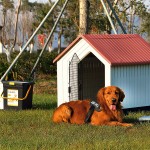 Casota Pl�stica Com Porta Vermelha 96X96X95 CM