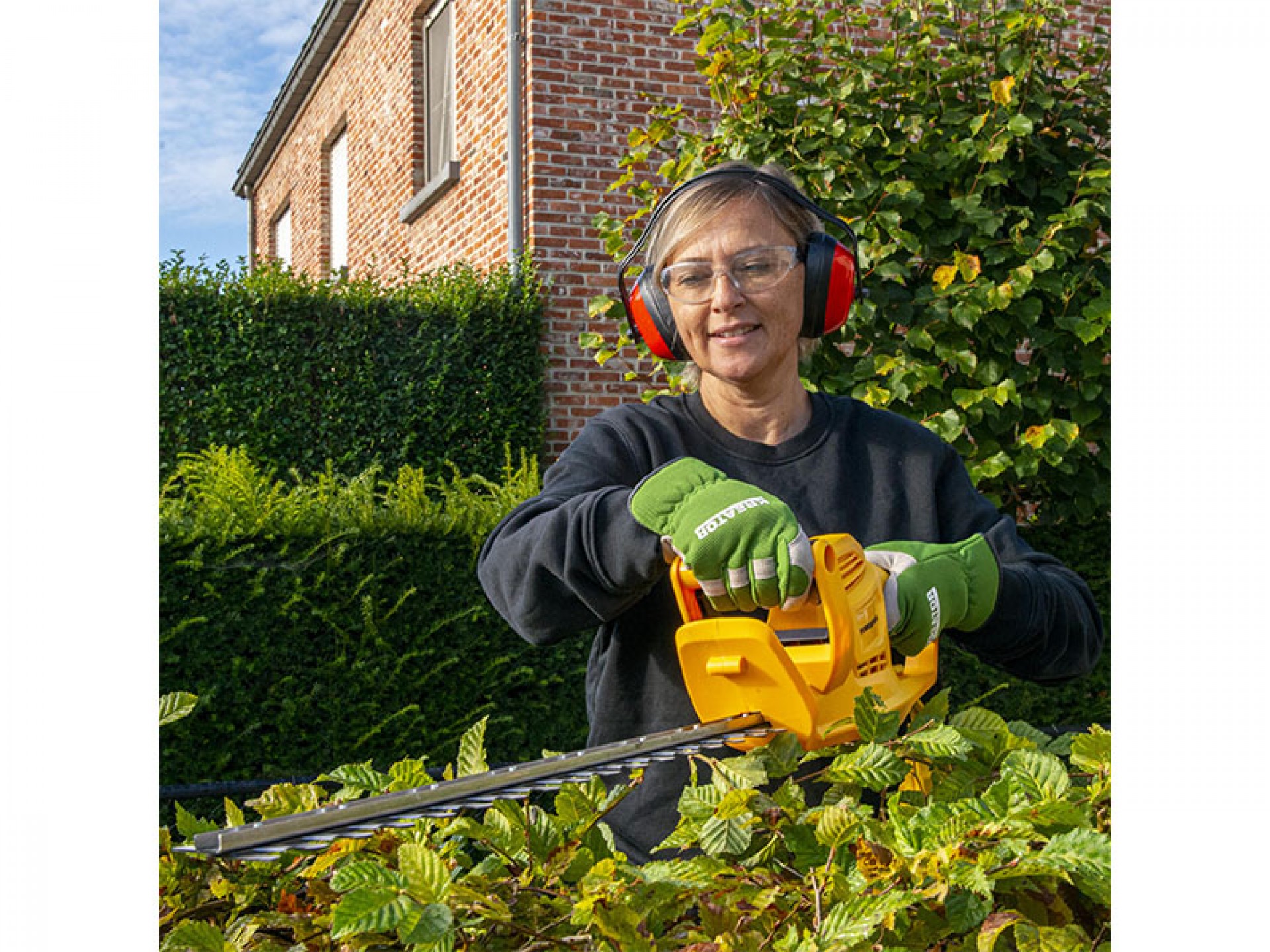 Corta Sebes 550W 550 MM POWERPLUS