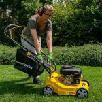 Corta Sebes 132CC 390MM POWERPLUS Corta Sebes 132CC 390MM POWERPLUS