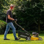 Corta Relva 132CC POWERPLUS