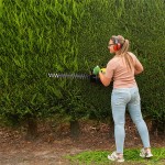 Corta Sebes 25,4CC 600MM POWERPLUS