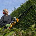 Corta Sebes 750W 700 MM POWERPLUS