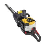 Corta Sebes 25,4CC 600MM POWERPLUS