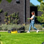 Corta Relva Auto  200CC POWERPLUS