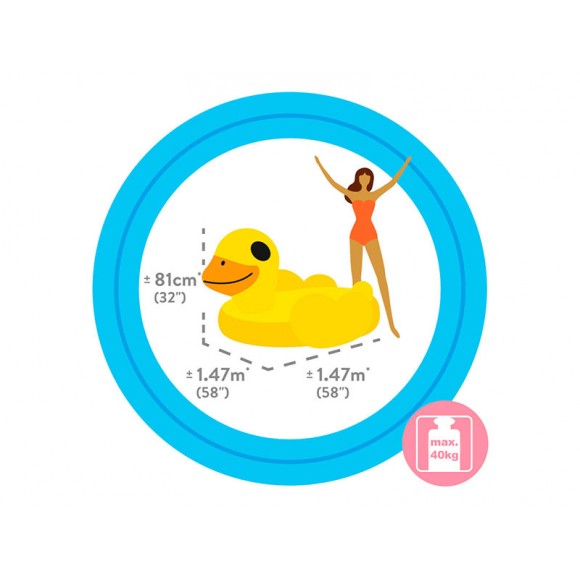 Boia Insufl�vel Pato 147X147X81 CM +3A INTEX