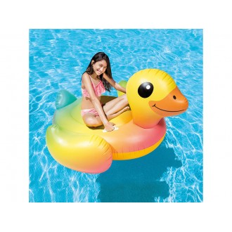 Boia Insufl�vel Pato 147X147X81 CM +3A INTEX