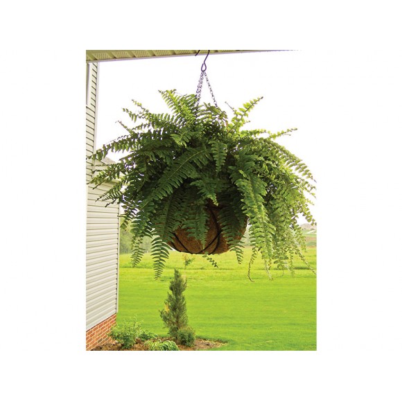 Forro De C�co 25 CM ALTADEX