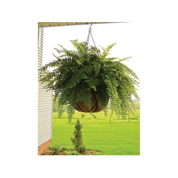 Suporte Para Forro De C�co 25 CM ALTADEX