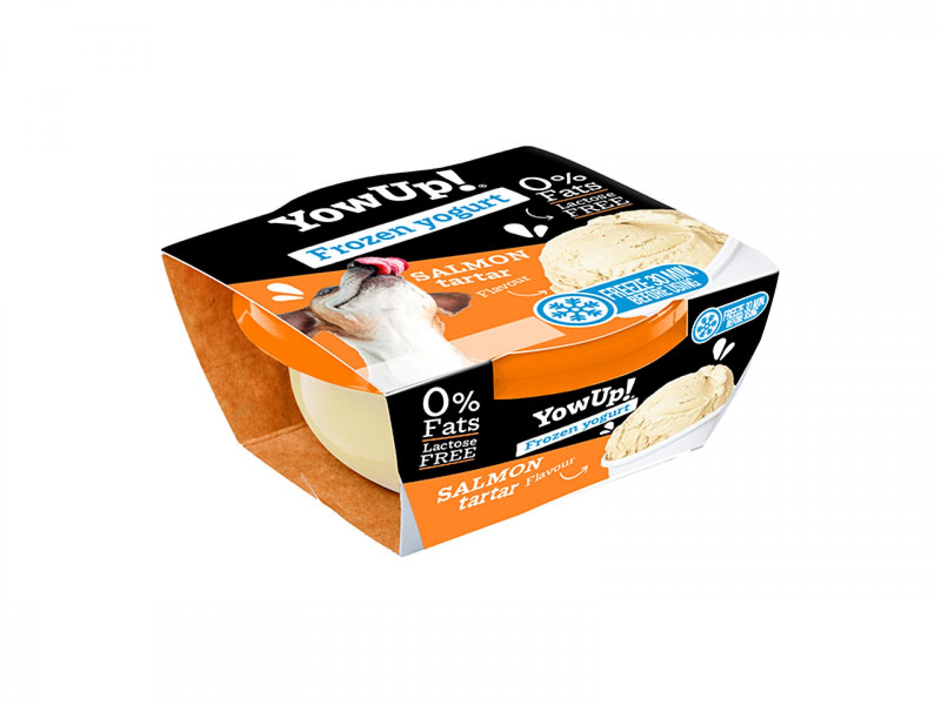Iogurte Congelado Tártar De Salmão 110 G YOWUP