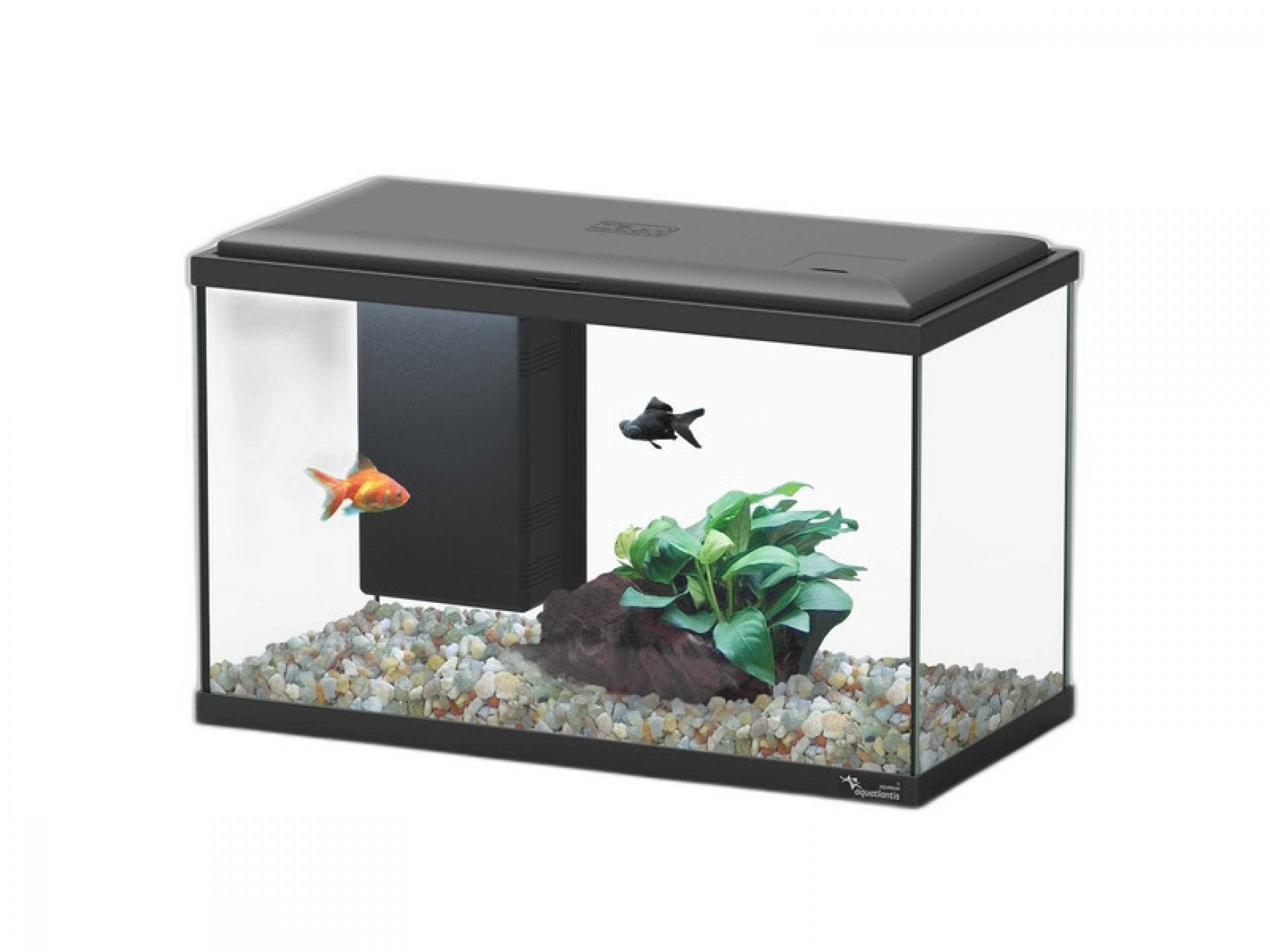 Aquario Explorer Lisbon Led Preto 22 L AQUATLANTIS