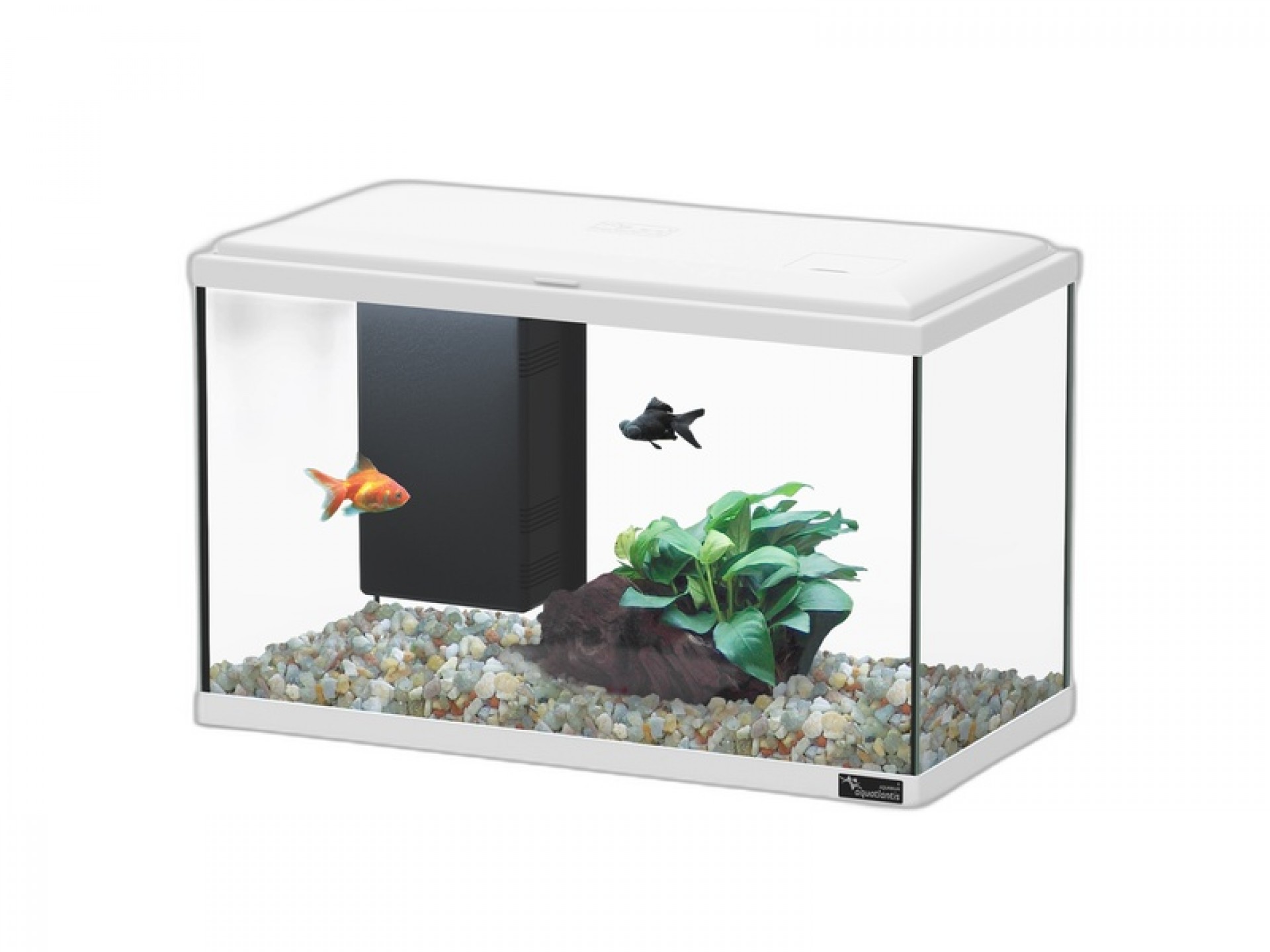 Aquario Explorer Lisbon Led Branco 22 L AQUATLANTI