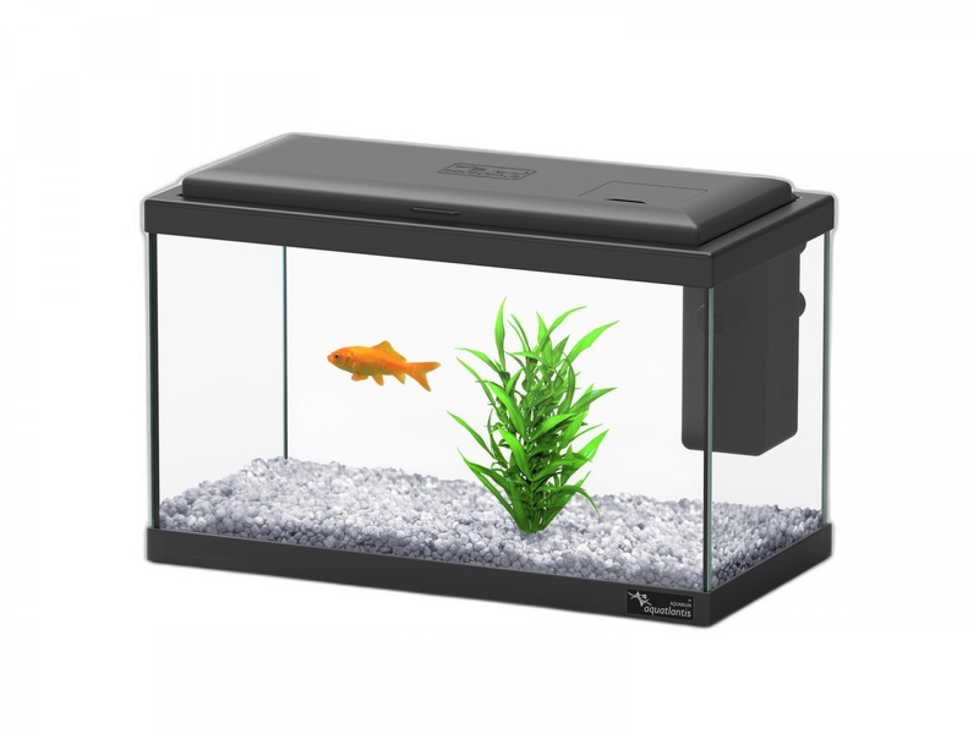 Aquario Explorer Madrid Preto 10 L AQUATLANTIS