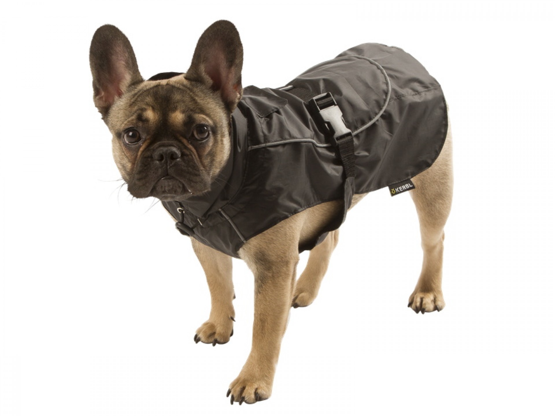 Capa Para Cão Impermeável Forks 40 CM KERBL