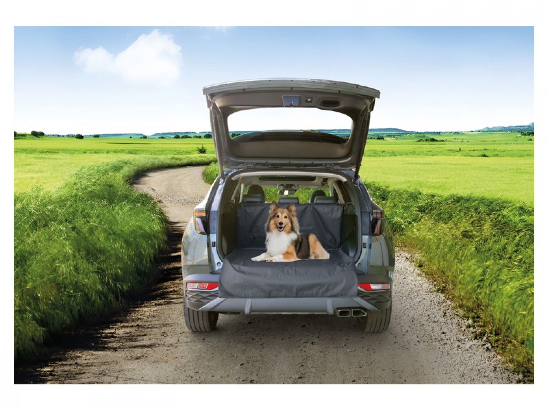 Capa Protecção Bagageira Carro 140X170CM IMAC