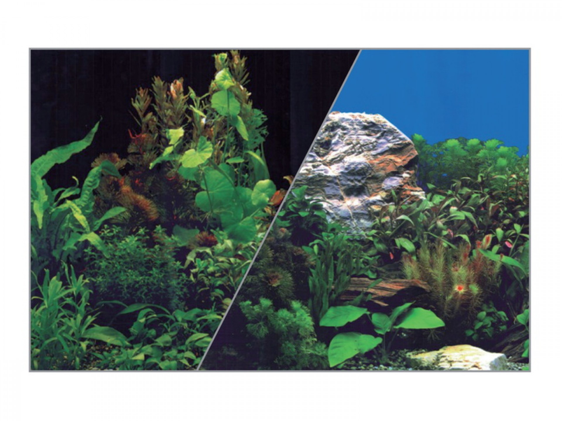 Fotofundo Duplo Para Aquário Plantas 30X40 CM ZOLU