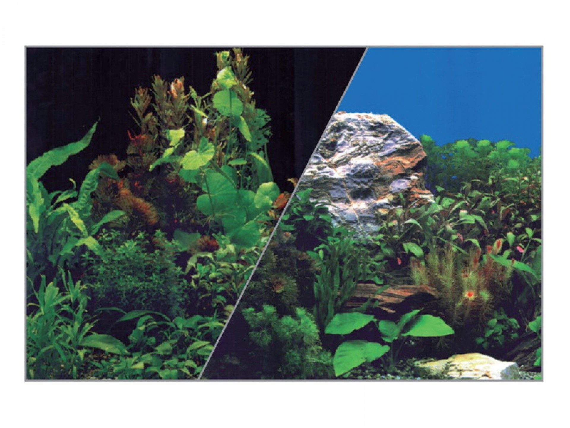 Fotofundo Duplo Para Aquário Plantas 40X60 CM ZOLU