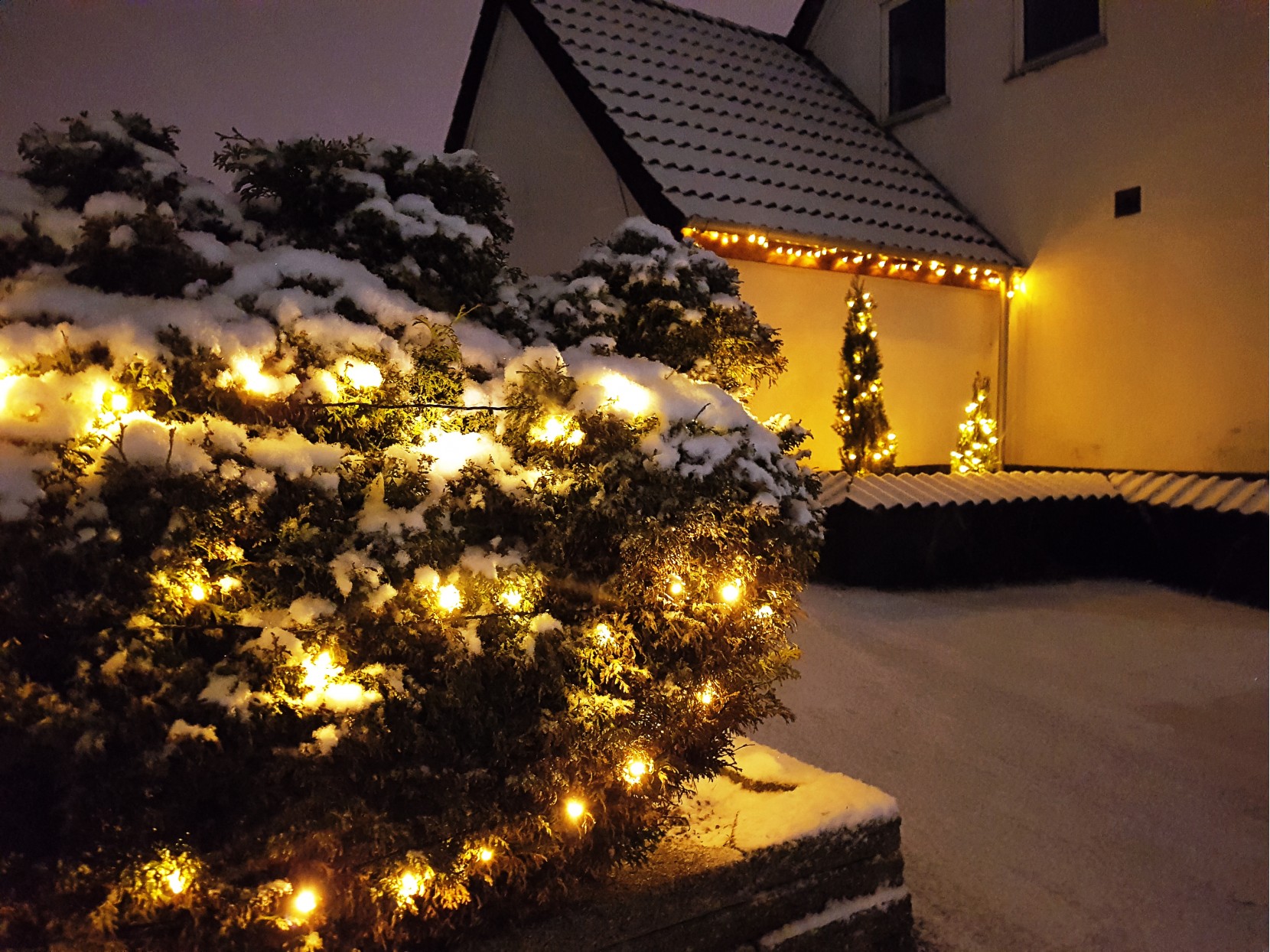 Iluminação de Natal no Jardim: dicas sustentáveis e seguras Iluminação de Natal no Jardim: dicas sustentáveis e seguras
