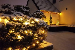 Iluminação de Natal no Jardim: dicas sustentáveis e seguras Iluminação de Natal no Jardim: dicas sustentáveis e seguras