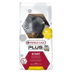 Mistura p/ pombos start plus 20 Kg VERSELE LAGA