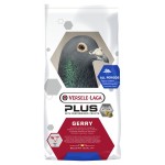 Mistura p/ pombos gerry plus 20 Kg VERSELE LAGA