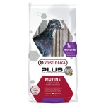 Mistura p/ pombos multine plus 20 Kg VERSELE LAGA