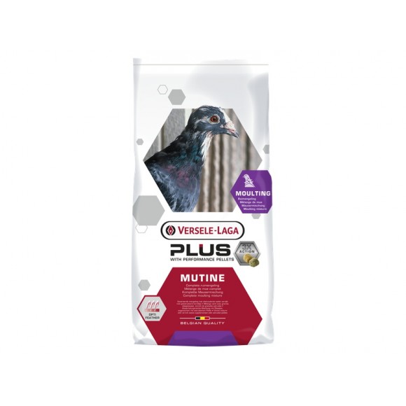 Mistura p/ pombos multine plus 20 Kg VERSELE LAGA