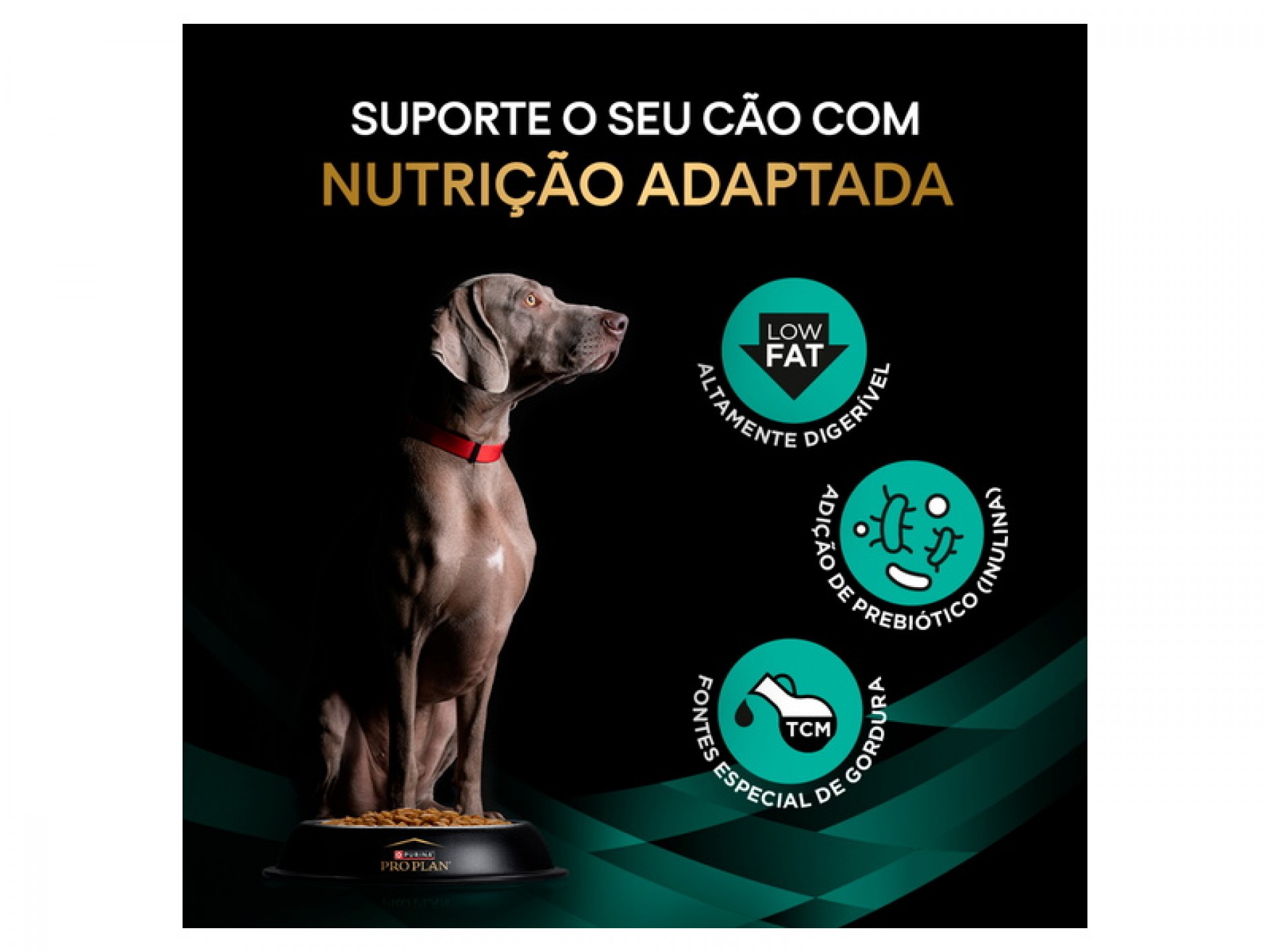 Al Seco Para Cão Gastrointestinal 1,3 KG PROPLAN