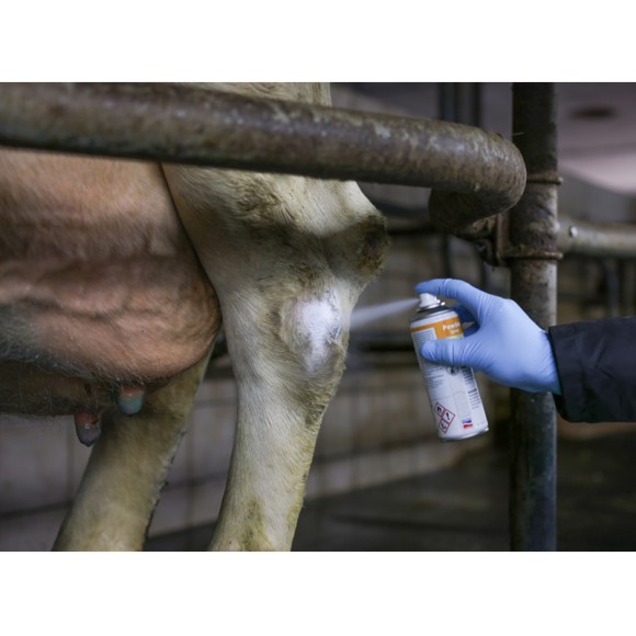 Spray Gado azul 400ml KERBL