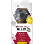 Mistura p/ pombos chapion plus 20 Kg VERSELE LAGA