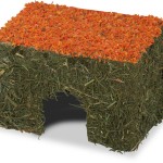 Snack P/Roedores Casa De Feno C/Cenoura 15 CM JR F