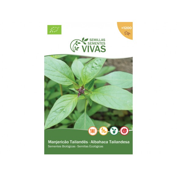 Manjeric�o da Tail�ndia 2 G SEMENTES VIVAS