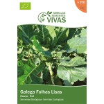 Couve Galega Folhas Lisas 1,5 G SEMENTES VIVAS