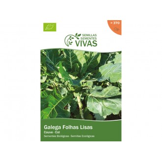 Couve Galega Folhas Lisas 1,5 G SEMENTES VIVAS